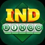 IND BINGO DOWNLOAD APK