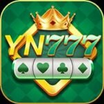 YN777 APK EARNING APP