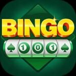 BINGO 101 NEW EARNING APK DOWNLOAD