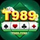 T989 APK GAME DOWINLOAD FREE BONUS